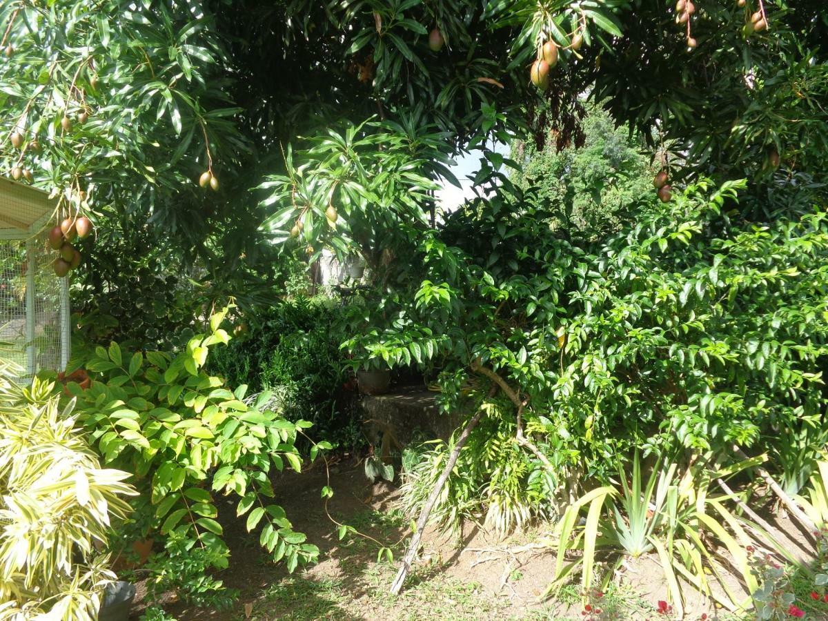 Gite Malou 德赛 外观 照片